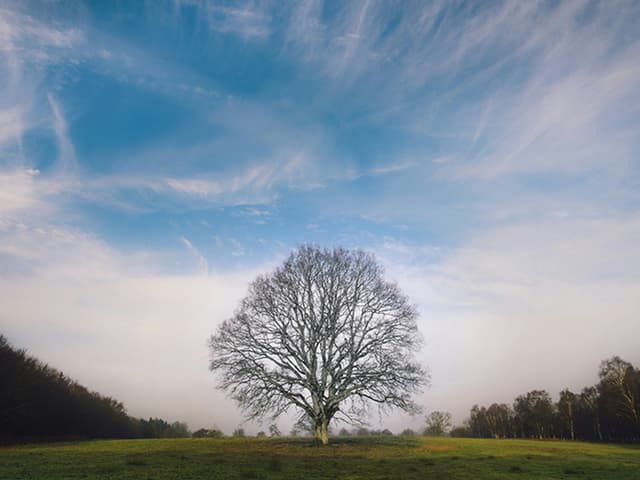 Aum Chanting: A Guided Meditation