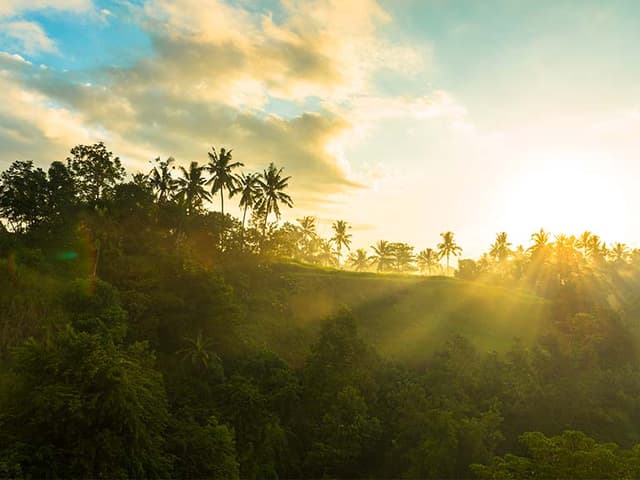 Morning Meditation To Align Your Day