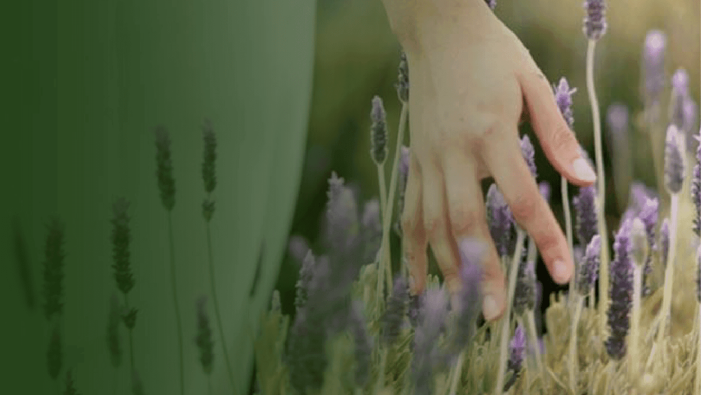 Release and Reset Your Energy Flow